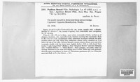 Agaricus benesii image
